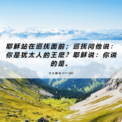Picture 06 - 马 太 福 音 27:11 CUVS - 耶 稣 站 在 巡 抚 面 前 ； 巡 抚 问 - Bible Verse Picture