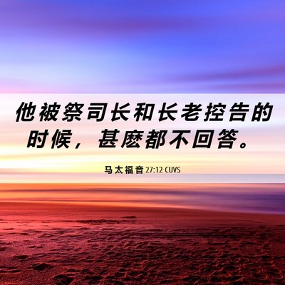 Picture 06 - 马 太 福 音 27:12 CUVS - 他 被 祭 司 长 和 长 老 控 告 的 时 - Bible Verse Picture