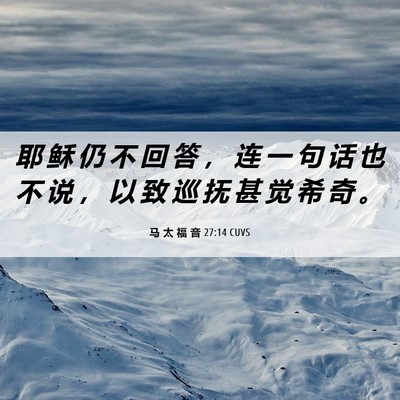 Picture 06 - 马 太 福 音 27:14 CUVS - 耶 稣 仍 不 回 答 ， 连 一 句 话 也 - Bible Verse Picture