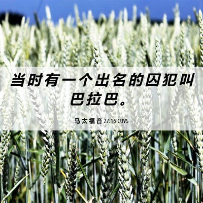 Picture 06 - 马 太 福 音 27:16 CUVS - 当 时 有 一 个 出 名 的 囚 犯 叫 巴 - Bible Verse Picture