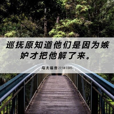 Picture 06 - 马 太 福 音 27:18 CUVS - 巡 抚 原 知 道 他 们 是 因 为 嫉 妒 - Bible Verse Picture