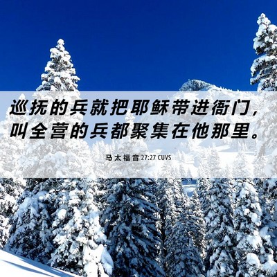 Picture 06 - 马 太 福 音 27:27 CUVS - 巡 抚 的 兵 就 把 耶 稣 带 进 衙 门 - Bible Verse Picture