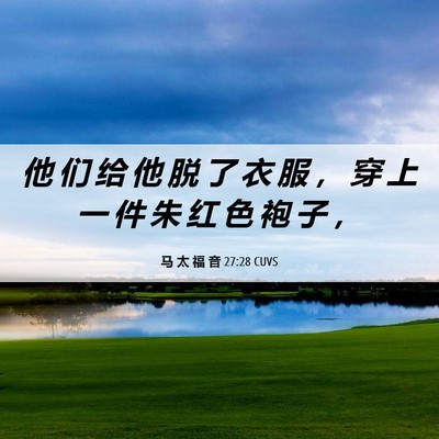 Picture 06 - 马 太 福 音 27:28 CUVS - 他 们 给 他 脱 了 衣 服 ， 穿 上 一 - Bible Verse Picture