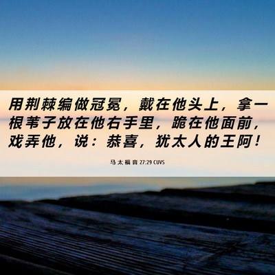 Picture 06 - 马 太 福 音 27:29 CUVS - 用 荆 棘 编 做 冠 冕 ， 戴 在 他 头 - Bible Verse Picture