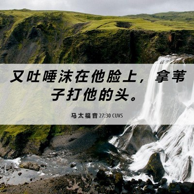 Picture 06 - 马 太 福 音 27:30 CUVS - 又 吐 唾 沫 在 他 脸 上 ， 拿 苇 子 - Bible Verse Picture