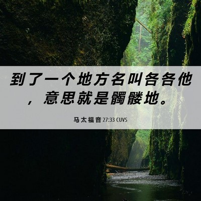 Picture 06 - 马 太 福 音 27:33 CUVS - 到 了 一 个 地 方 名 叫 各 各 他 ， - Bible Verse Picture