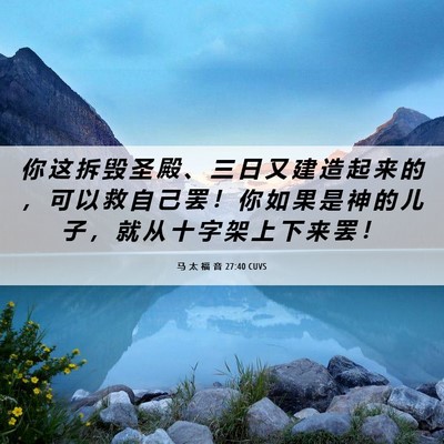 Picture 06 - 马 太 福 音 27:40 CUVS - 你 这 拆 毁 圣 殿 、 三 日 又 建 造 - Bible Verse Picture