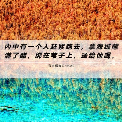 Picture 06 - 马 太 福 音 27:48 CUVS - 内 中 有 一 个 人 赶 紧 跑 去 ， 拿 - Bible Verse Picture
