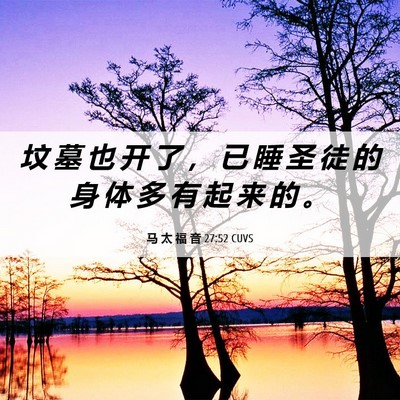Picture 06 - 马 太 福 音 27:52 CUVS - 坟 墓 也 开 了 ， 已 睡 圣 徒 的 身 - Bible Verse Picture