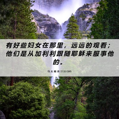 Picture 06 - 马 太 福 音 27:55 CUVS - 有 好 些 妇 女 在 那 里 ， 远 远 的 - Bible Verse Picture