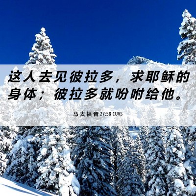 Picture 06 - 马 太 福 音 27:58 CUVS - 这 人 去 见 彼 拉 多 ， 求 耶 稣 的 - Bible Verse Picture