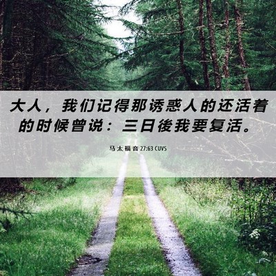 Picture 06 - 马 太 福 音 27:63 CUVS - 大 人 ， 我 们 记 得 那 诱 惑 人 的 - Bible Verse Picture