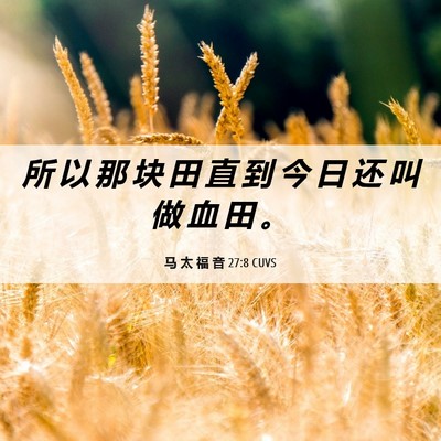 Picture 06 - 马 太 福 音 27:8 CUVS - 所 以 那 块 田 直 到 今 日 还 叫 做 - Bible Verse Picture