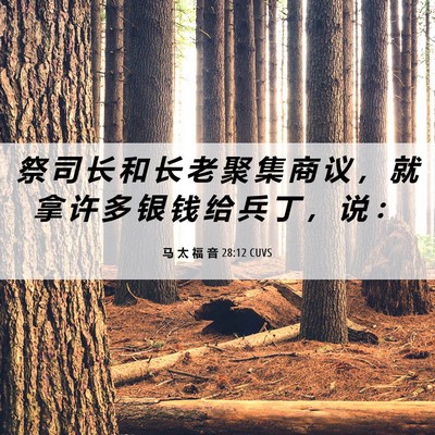 Picture 06 - 马 太 福 音 28:12 CUVS - 祭 司 长 和 长 老 聚 集 商 议 ， 就 - Bible Verse Picture