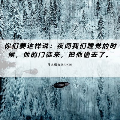 Picture 06 - 马 太 福 音 28:13 CUVS - 你 们 要 这 样 说 ： 夜 间 我 们 睡 - Bible Verse Picture