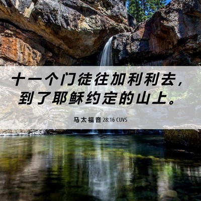Picture 06 - 马 太 福 音 28:16 CUVS - 十 一 个 门 徒 往 加 利 利 去 ， 到 - Bible Verse Picture