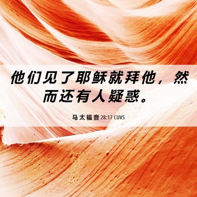 Picture 06 - 马 太 福 音 28:17 CUVS - 他 们 见 了 耶 稣 就 拜 他 ， 然 而 - Bible Verse Picture