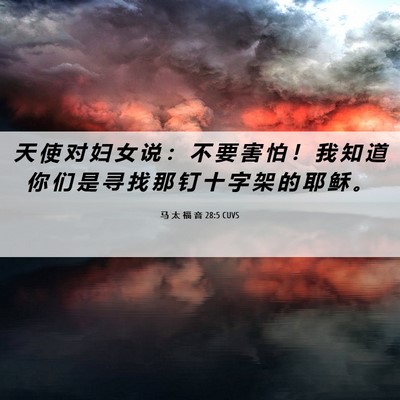 Picture 06 - 马 太 福 音 28:5 CUVS - 天 使 对 妇 女 说 ： 不 要 害 怕 ！ - Bible Verse Picture