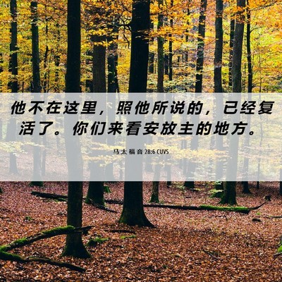 Picture 06 - 马 太 福 音 28:6 CUVS - 他 不 在 这 里 ， 照 他 所 说 的 ， - Bible Verse Picture