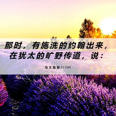 Picture 06 - 马 太 福 音 3:1 CUVS - 那 时 ， 有 施 洗 的 约 翰 出 来 ， - Bible Verse Picture