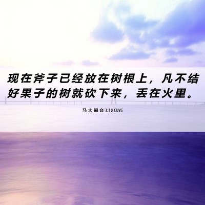 Picture 06 - 马 太 福 音 3:10 CUVS - 现 在 斧 子 已 经 放 在 树 根 上 ， - Bible Verse Picture