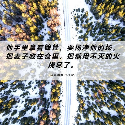 Picture 06 - 马 太 福 音 3:12 CUVS - 他 手 里 拿 着 簸 箕 ， 要 扬 净 他 - Bible Verse Picture