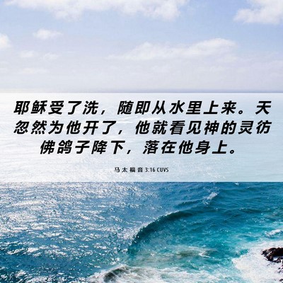 Picture 06 - 马 太 福 音 3:16 CUVS - 耶 稣 受 了 洗 ， 随 即 从 水 里 上 - Bible Verse Picture