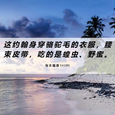 Picture 06 - 马 太 福 音 3:4 CUVS - 这 约 翰 身 穿 骆 驼 毛 的 衣 服 ， - Bible Verse Picture