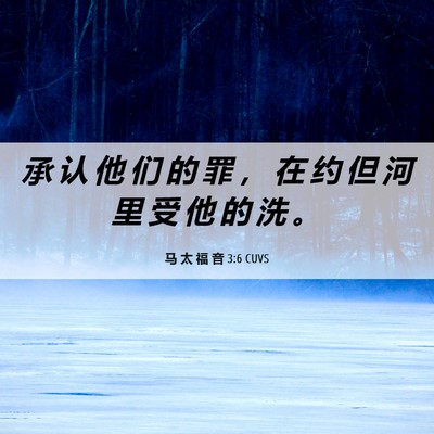 Picture 06 - 马 太 福 音 3:6 CUVS - 承 认 他 们 的 罪 ， 在 约 但 河 里 - Bible Verse Picture