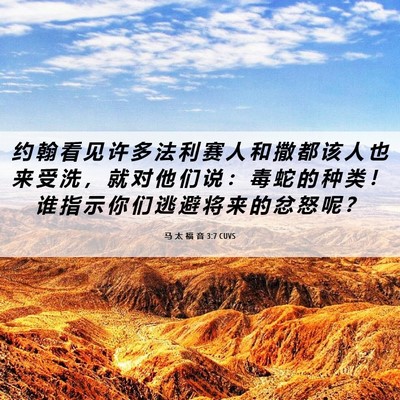 Picture 06 - 马 太 福 音 3:7 CUVS - 约 翰 看 见 许 多 法 利 赛 人 和 撒 - Bible Verse Picture