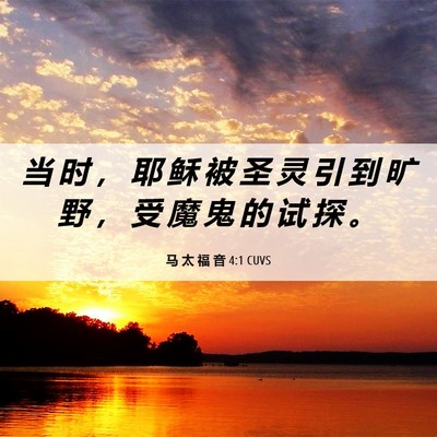 Picture 06 - 马 太 福 音 4:1 CUVS - 当 时 ， 耶 稣 被 圣 灵 引 到 旷 野 - Bible Verse Picture