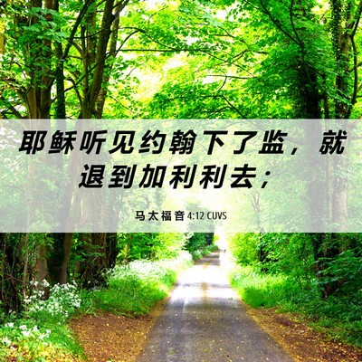 Picture 06 - 马 太 福 音 4:12 CUVS - 耶 稣 听 见 约 翰 下 了 监 ， 就 退 - Bible Verse Picture