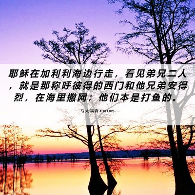 Picture 06 - 马 太 福 音 4:18 CUVS - 耶 稣 在 加 利 利 海 边 行 走 ， 看 - Bible Verse Picture