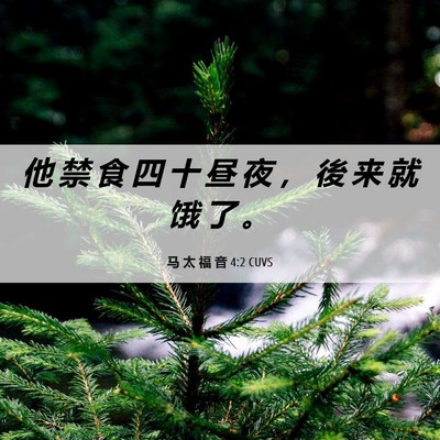 Picture 06 - 马 太 福 音 4:2 CUVS - 他 禁 食 四 十 昼 夜 ， 後 来 就 饿 - Bible Verse Picture