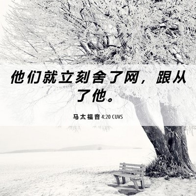 Picture 06 - 马 太 福 音 4:20 CUVS - 他 们 就 立 刻 舍 了 网 ， 跟 从 了 - Bible Verse Picture