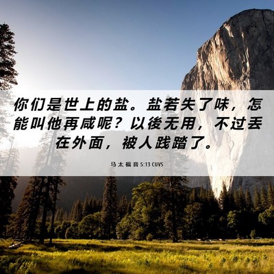 Picture 06 - 马 太 福 音 5:13 CUVS - 你 们 是 世 上 的 盐 。 盐 若 失 了 - Bible Verse Picture