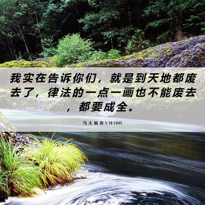 Picture 06 - 马 太 福 音 5:18 CUVS - 我 实 在 告 诉 你 们 ， 就 是 到 天 - Bible Verse Picture