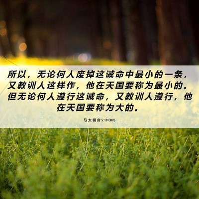 Picture 06 - 马 太 福 音 5:19 CUVS - 所 以 ， 无 论 何 人 废 掉 这 诫 命 - Bible Verse Picture