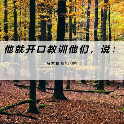 Picture 06 - 马 太 福 音 5:2 CUVS - 他 就 开 口 教 训 他 们 ， 说 - Bible Verse Picture