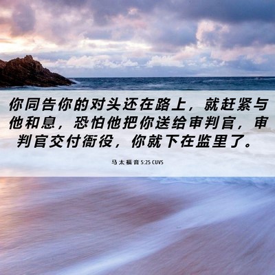 Picture 06 - 马 太 福 音 5:25 CUVS - 你 同 告 你 的 对 头 还 在 路 上 ， - Bible Verse Picture
