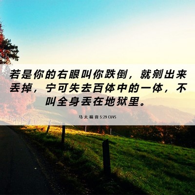 Picture 06 - 马 太 福 音 5:29 CUVS - 若 是 你 的 右 眼 叫 你 跌 倒 ， 就 - Bible Verse Picture