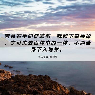 Picture 06 - 马 太 福 音 5:30 CUVS - 若 是 右 手 叫 你 跌 倒 ， 就 砍 下 - Bible Verse Picture