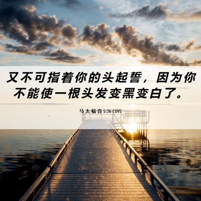 Picture 06 - 马 太 福 音 5:36 CUVS - 又 不 可 指 着 你 的 头 起 誓 ， 因 - Bible Verse Picture