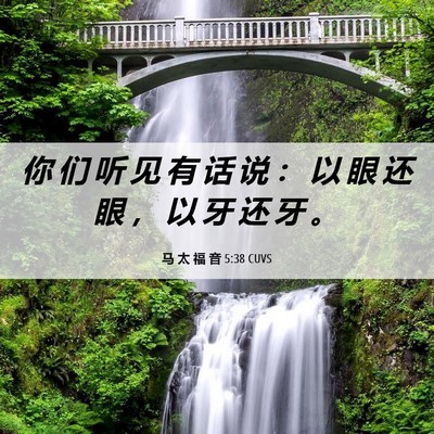 Picture 06 - 马 太 福 音 5:38 CUVS - 你 们 听 见 有 话 说 ： 以 眼 还 眼 - Bible Verse Picture