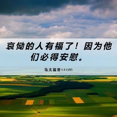 Picture 06 - 马 太 福 音 5:4 CUVS - 哀 恸 的 人 有 福 了 ！ 因 为 他 们 - Bible Verse Picture