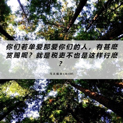Picture 06 - 马 太 福 音 5:46 CUVS - 你 们 若 单 爱 那 爱 你 们 的 人 ， - Bible Verse Picture