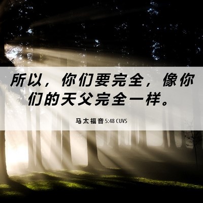 Picture 06 - 马 太 福 音 5:48 CUVS - 所 以 ， 你 们 要 完 全 ， 像 你 们 - Bible Verse Picture