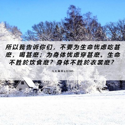 Picture 06 - 马 太 福 音 6:25 CUVS - 所 以 我 告 诉 你 们 ， 不 要 为 生 - Bible Verse Picture