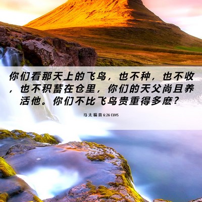 Picture 06 - 马 太 福 音 6:26 CUVS - 你 们 看 那 天 上 的 飞 鸟 ， 也 不 - Bible Verse Picture