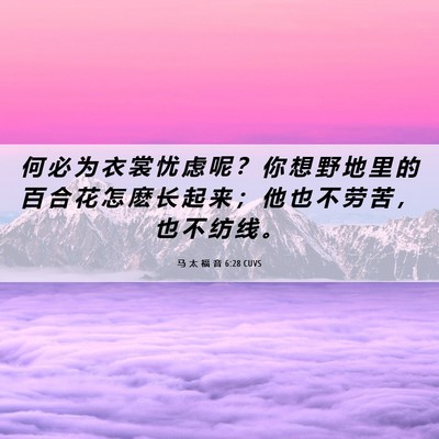 Picture 06 - 马 太 福 音 6:28 CUVS - 何 必 为 衣 裳 忧 虑 呢 ？ 你 想 野 - Bible Verse Picture